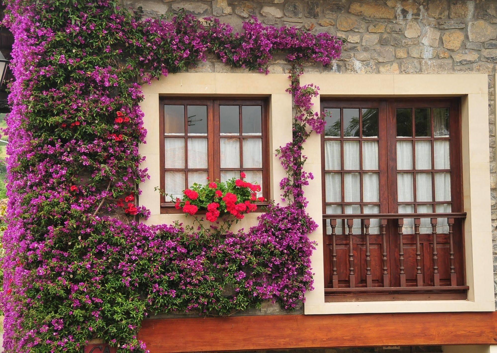 Pensjonat Casa Rural Llugaron I Miravalles Zewnętrze zdjęcie